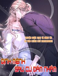 [Truyện Tranh] - Định Mệnh Sau Cú Đấm Nhầm