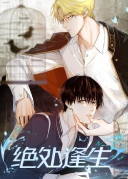 [Truyện Tranh] - Tuyệt Xử Phùng Sinh