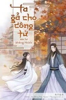 [Truyện Chữ] - Ta Gả Cho Công Tử Mà Ta Không Thích