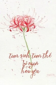[Truyện Chữ] - Tam Sinh Tam Thế Bỉ Ngạn Hoa Yêu