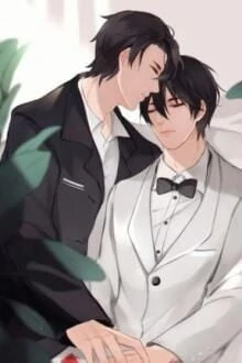 [Truyện Chữ] - Tái Hợp