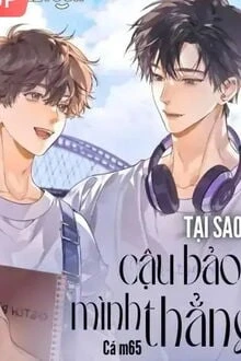 [Truyện Chữ] - Tại Sao Cậu Bảo Mình Thẳng?