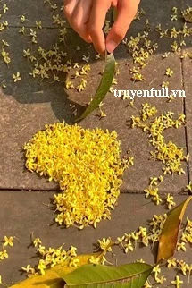 [Truyện Chữ] - Tên Của Anh Ấy