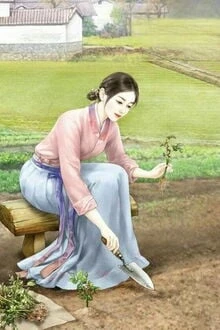 [Truyện Chữ] - Thập Niên 70: Cô Nàng Pháo Hôi Cực Phẩm