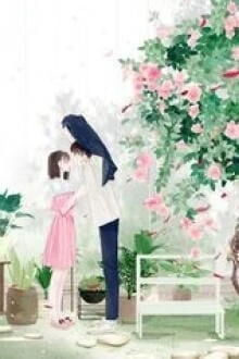 [Truyện Chữ] - Thắp Đèn Trong Màn Đêm