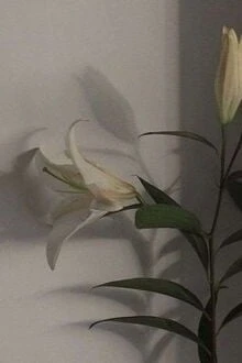 [Truyện Chữ] - Tiểu Soái Ca, Tớ Nhìn Trúng Cậu Rồi