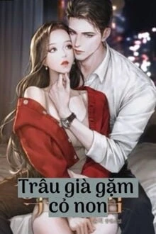 [Truyện Chữ] - Trâu Già Gặm Cỏ Non