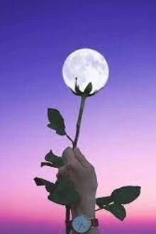 [Truyện Chữ] - Trăng Tròn Vừa Lúc Hoa Đã Tàn