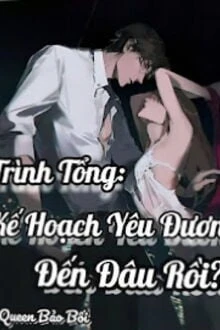 [Truyện Chữ] - Trình Tổng: Kế Hoạch Yêu Đương Đến Đâu Rồi?