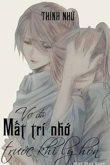 [Truyện Chữ] - Trước Khi Ly Hôn Vợ Mất Trí Nhớ