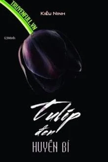[Truyện Chữ] - Tulip Đen Huyền Bí