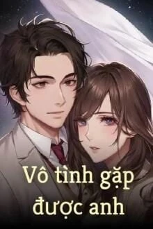 [Truyện Chữ] - Vô Tình Gặp Được Anh