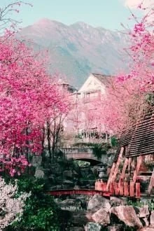 [Truyện Chữ] - Xuân Sắc Nhập Tửu