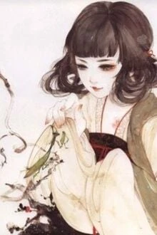 [Truyện Chữ] - Xuyên Không Bất Đắc Dĩ!