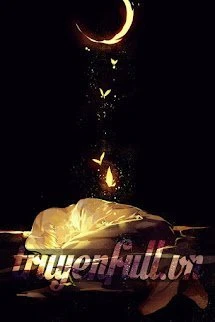 [Truyện Chữ] - Ánh Trăng Mang Thư Đến