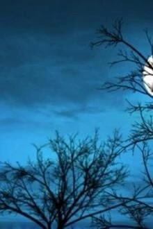 [Truyện Chữ] - Ánh Trăng Phản Diện