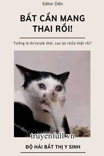 [Truyện Chữ] - Bất Cẩn Mang Thai Rồi