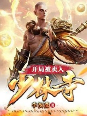 [Truyện Chữ] - Bắt Đầu Bị Bán Vào Thiếu Lâm Tự