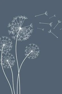 [Truyện Chữ] - Bồ Công Anh Ngàn Cánh