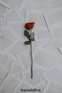 [Truyện Chữ] - Cành Hồng Năm Ấy