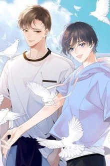 [Truyện Chữ] - Cậu Là Mùa Hạ Của Tớ