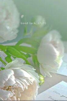 [Truyện Chữ] - Chờ Đợi Mùa Xuân