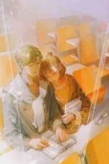 [Truyện Chữ] - Chiến Lược Tình Yêu Hoàn Hảo