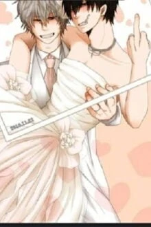 [Truyện Chữ] - Chim Cút