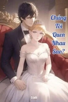 [Truyện Chữ] - Chúng Tôi Quen Nhau Sao?