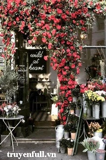 [Truyện Chữ] - Có Câu Chuyện Gương Vỡ Lại Lành Nào Đẹp Đẽ Không?