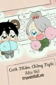 [Truyện Chữ] - Cưới Nhầm Chồng Ngốc