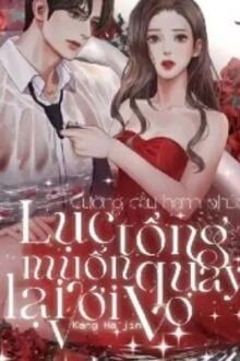 [Truyện Chữ] - Cưỡng Cầu Hạnh Phúc: Lục Tổng Muốn Quay Lại Với Vợ