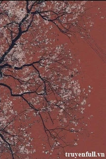 [Truyện Chữ] - Đã Xuyên Thì Phải Có Đôi Có Cặp