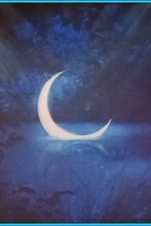 [Truyện Chữ] - Đầu Cành Treo Một Mảnh Trăng Xanh