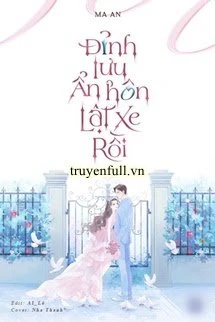 [Truyện Chữ] - Đỉnh Lưu Ẩn Hôn Lật Xe Rồi