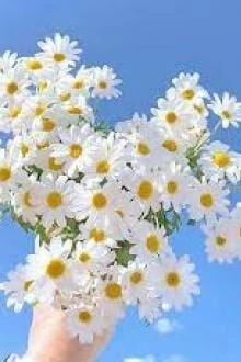 [Truyện Chữ] - Điều Tuyệt Vời Nhất Dành Cho Em