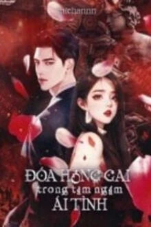 [Truyện Chữ] - Đóa Hồng Gai Trong Tầm Ngắm Ái Tình