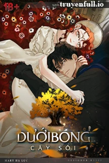 [Truyện Chữ] - Dưới Bóng Cây Sồi - Kim Sooji