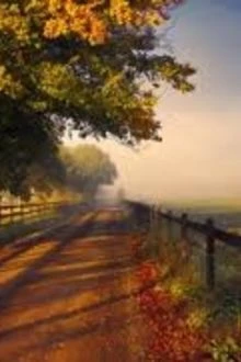 [Truyện Chữ] - Đường Về