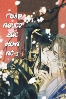 [Truyện Chữ] - Gặp Người Lúc Hoa Nở