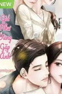 [Truyện Chữ] - Giá Như Đừng Gặp Anh
