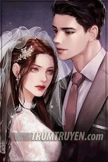 [Truyện Chữ] - Giang Tổng Theo Đuổi Vợ Cũ