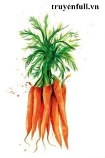 [Truyện Chữ] - Gọt Cà Rốt Thành Khối Chưa?