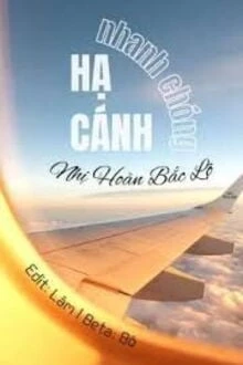 [Truyện Chữ] - Hạ Cánh Nhanh Chóng