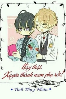 [Truyện Chữ] - Hay Thật, Xuyên Qua Làm Nam Phụ