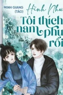 [Truyện Chữ] - Hình Như Tôi Thích Nam Phụ Rồi