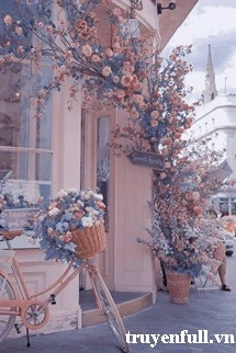 [Truyện Chữ] - Hoa Hồng Cappuccino - Không Hẹn Mà Gặp, Tình Yêu Dịu Dàng