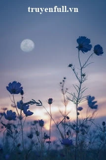 [Truyện Chữ] - Hoa Nở Cuối Đường