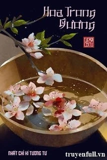 [Truyện Chữ] - Hoa Trong Gương