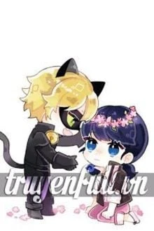 [Truyện Chữ] - Khi Mèo Là Soái Ca